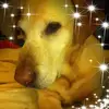 Taryn Stedman - @user012215933 - TikTok