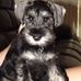 Taryn Stokes - Facebook