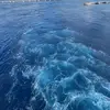 taryn.stone - @taryn.stone - TikTok
