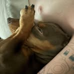 Taryn Sullivan - Facebook