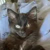tarynsullivan818 - @tarynsullivan818 - TikTok
