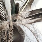 Taryn Waters - @tarynwaters - Instagram