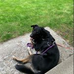 Taryn West - @twest4468 - Instagram