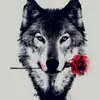 Taryn Westhawk - @tarynwesthawk5 - TikTok