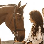 Taryn Young / Equestrian - @warmbloodsandwine - Instagram