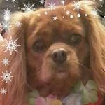 tasha bates - @andrewbates20101 - Instagram