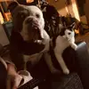 tashachaosbender7 - @tashachaosbender7 - TikTok
