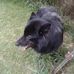 Tasha Benson - Facebook