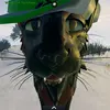 Beastdragongaming - @tashabouchard40 - TikTok