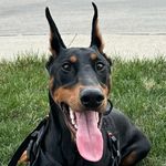 Suki Tasha Conley - @sukidobe - Instagram