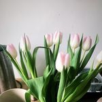Tasha Cooke - @tata.inthekitchen - Instagram