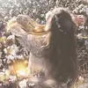 TashaDavidson - @tweimfhdqu7 - TikTok
