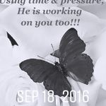 Tasha Ferrell - @sweettasha1991 - Instagram