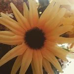 Tasha Gibson - @eat_love_well - Instagram