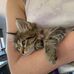 Tasha Grace - Facebook