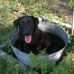Tasha Hames - Facebook