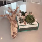 Natasha Hatcher - @luxuryxnature - Instagram