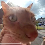 tasha - @tasha.fearnhead - Instagram