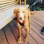 Tasha - @tasha.hendrickson - Instagram