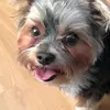 Tasha Herbert - @tashaherbert7 - TikTok