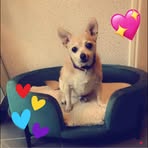 Latasha Hibbert - Facebook