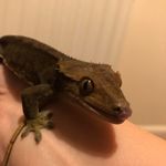 Natasha Hibbert - @natasha.hibbert2024 - Instagram