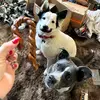Tasha & Lilly - @tasha.lilly6 - TikTok
