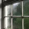 tasha_lilly - @tasha_lilly - TikTok