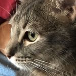 Tasha Lowe - @tashalowenewsome - Instagram