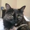 Tasha North - @tashanorth1 - TikTok