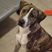 Tasha Pace - Facebook