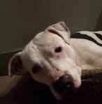 Tasha Post - Facebook
