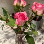 Tasha Powell - @_tasha712 - Instagram