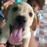 Tasha Ramirez De Luque - @tasharamirez98 - Instagram