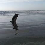 Tasha Rees - @tasha.rees.58 - Instagram