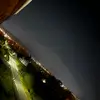 tasharowe931701 - @tasharowe931701 - TikTok