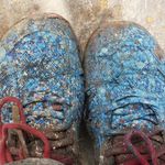 Tasha Shepherd - @tashashepherdpaints - Instagram