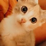 Tasha Simons - @tasha_simons14 - Instagram