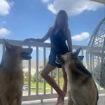 Tasha Stevens - @tashtash_12 - Instagram