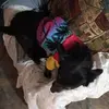 Tasha Walker - @tasha.walker613 - TikTok