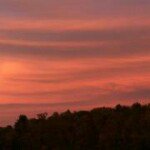 Tasha Whaley - @whaleynd - Instagram