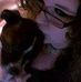 Tasha Wheeler - Facebook