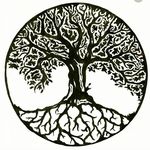 Tasha Willis - @flying.w.ranch - Instagram