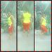 Tashana Moore - Facebook