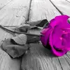 السندس - @tasnimanwar2012 - TikTok
