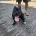 Tata Lopez - Facebook