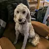 Harrison Tate - @harrison.tate69 - TikTok