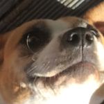 Tate Harrison - @tate_h8 - Instagram