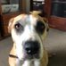 Tate Harrison - Facebook