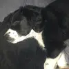 tateharrison8 - @tateharrison8 - TikTok